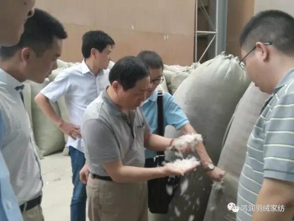 鴻潤集團(tuán)常務(wù)副總裁夏吉忠一行調(diào)研羽絨行業(yè)發(fā)展動向