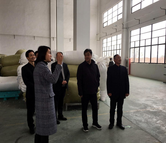 徽商銀行吳學民董事長、安慶分行洪少平行長一行蒞臨鴻潤公司視察指導