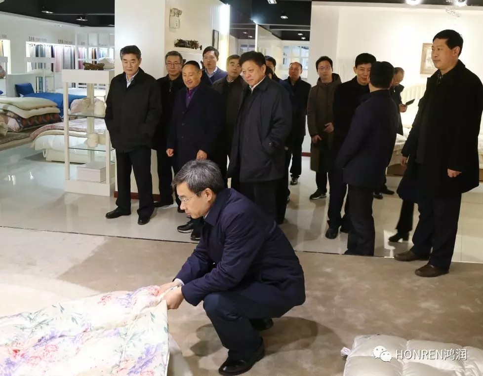 安徽省委常委、常務(wù)副省長鄧向陽到鴻潤視察