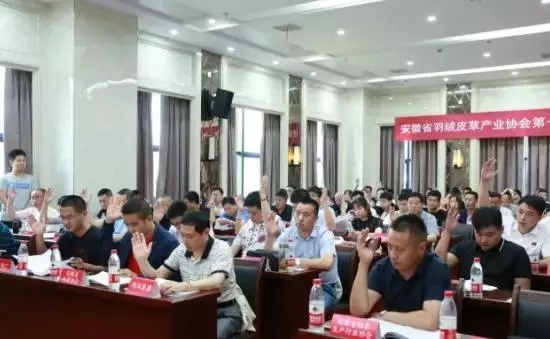 安徽省羽絨皮草產(chǎn)業(yè)協(xié)會(huì)成立，夏吉國(guó)總裁任第一屆理事會(huì)顧問(wèn)
